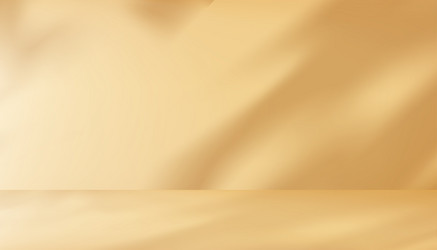 3d beige studio background display with shadow vector image