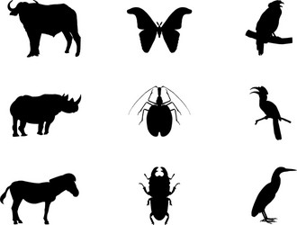 Wildlife Silhouettes - Birds and Insects Vector Image