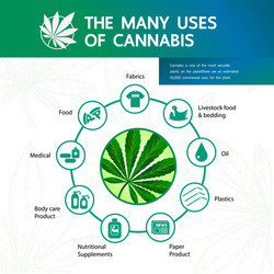 cannabis benefits for health vector