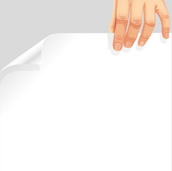 Male hand holding a blank white page curl vector