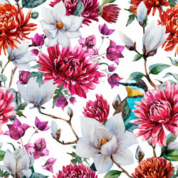 Watercolor Floral Chrysanthemum Magnolia Pattern Vector Image
