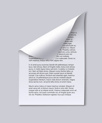 Paper Sheet with Curl & Text vector image
