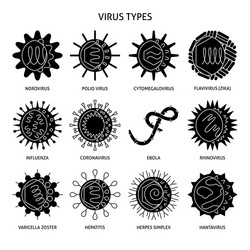 Influenza Virus Particle Diagram Royalty Free Vector Image