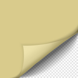 page curl with shadow on blank sheet of paper vector image