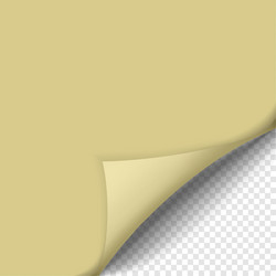 page curl with shadow on blank sheet of paper vector image