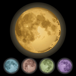 isolated full moon vector