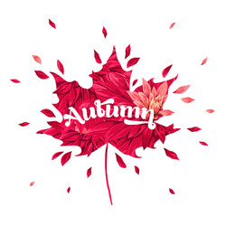 hello autumn watercolor floral design maple leaf Vector Image