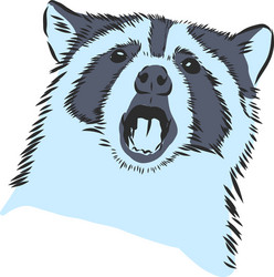 Doodle Raccoon Face Sketch Vector Image