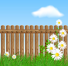 Wooden fence on green grass with daisy vector