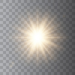 golden shining sun vector