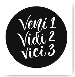 Hand drawn lettering veni vidi vici - latin vector