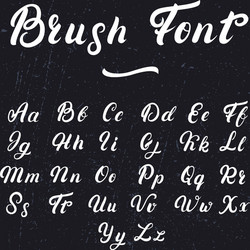 Elegant Brush Script Font vector image