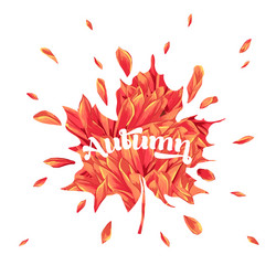 hello autumn watercolor floral design maple leaf Vector Image