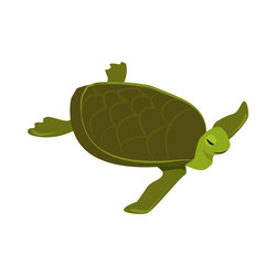 Isometric tortoise icon vector