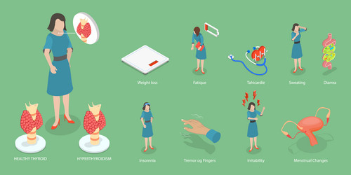 3d isometric flat conceptual Royalty Free Vector Image