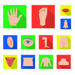 isolated object human and part sign set vector image