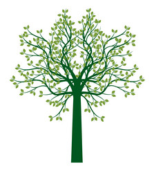 shape of green tree with leaves vector image