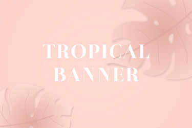 monstera leaf in corner pink backdrop vector