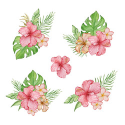 watercolor tropical with bright leaves Vector Image