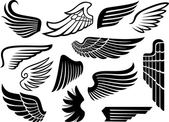 Wing Symbol Collection Vector Image