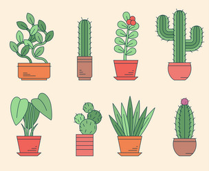 trendy home plants element set vector