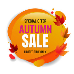 Autumn sale speech bubble with leaves vector