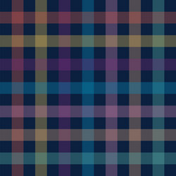 check print and lines seamless pattern vector image