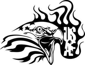 US Air Force Emblem Vector Image