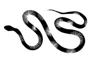 Sea Snake Cartoon Vector Images (over 450) Sea Snake Cartoon Vector Images (over 450)