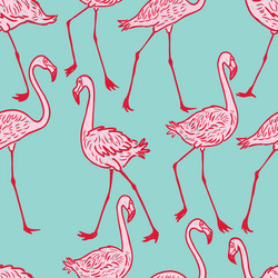 Pink Flamingo Pattern vector image