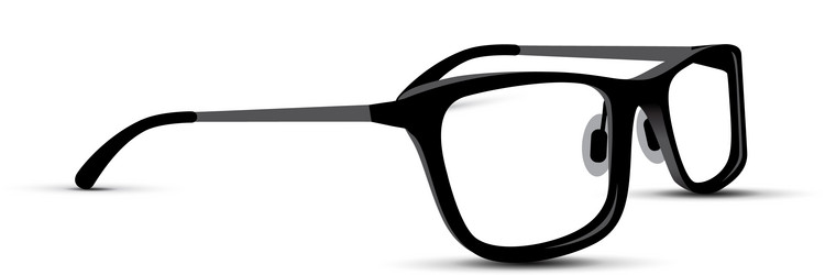 black and white glasses vector