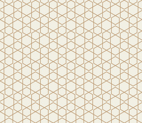 geometric hexagonal pattern in gold line simple vector image
