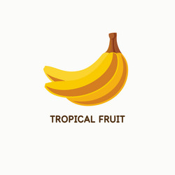 a banana in flat style isolated vector