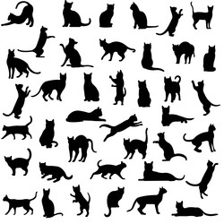 Black cat set isolated white background Royalty Free Vector