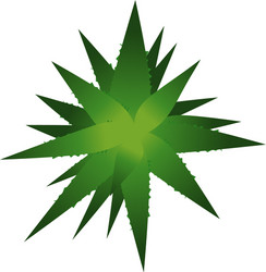 Top view plants easy copy paste in your landscape Vector Image