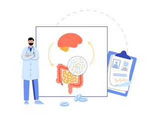 Gut-Brain Axis Connection vector image