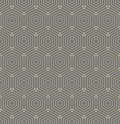 seamless abstract pattern with hexagons vector image