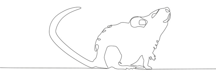 Rat mouse continuous line drawing one hand drawn Vector Image