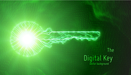 green of cyber key on binary vector image