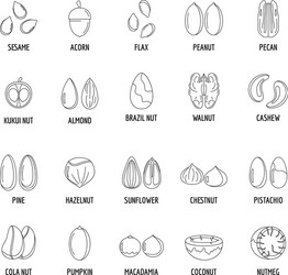 Nut types with signed names icons set outline vector