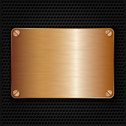 bronze texture plate with screws vector