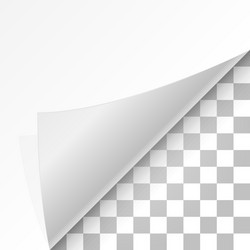 Paper Curl with Shadow vector image