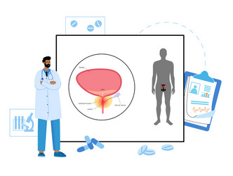 man reproducive system problems vector image