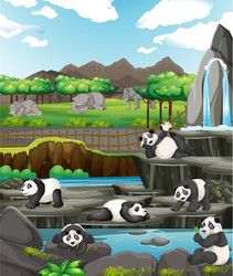 Pandas and Elephants in a Zoo vector image