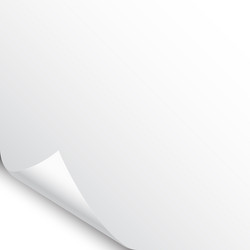 Curled Paper Corner with Shadow vector image