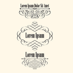 set calligraphic borders frames with space vector image