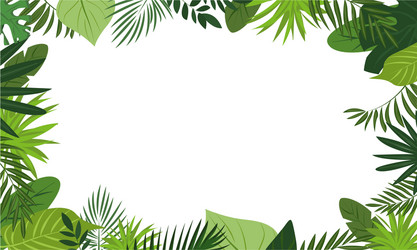 Rainforest Botanical Banner Vector Image