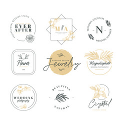 Floral Wedding Logotype Collection Vector Image