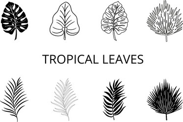 tropical blue-08eps Vector Image