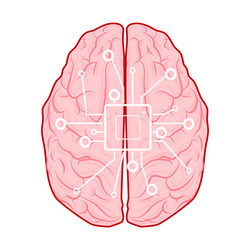 processor icons and brains for websites use your vector image